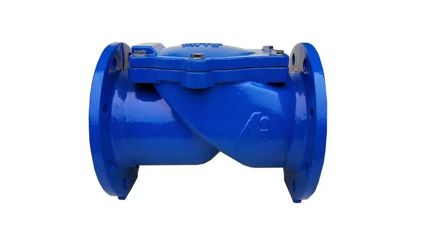 اطلاعات بیشتر در مورد Check Valve Assy را بخوانید